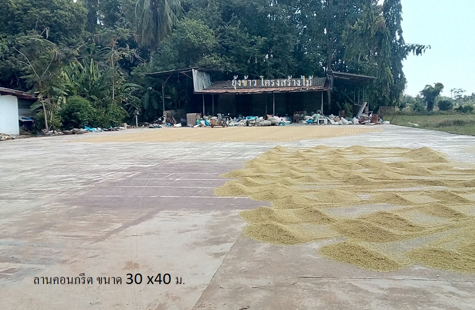 บ้านเดี่ยว หนองตม ตลุกเทียม