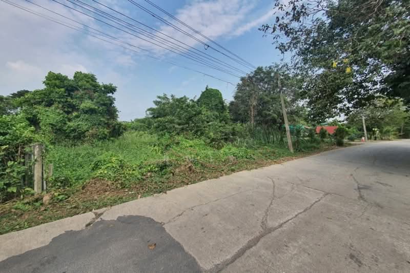 ขายที่ดิน 366 ตรว. ถนนลำไทร หนองจอก ติดถนน 2 ด้าน ปลดล็อคทุกไลฟ์สไตล์ บนที่ดินผืนสวย, Bangkok