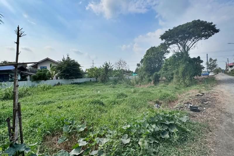 ขายที่ดิน 366 ตรว. ถนนลำไทร หนองจอก ติดถนน 2 ด้าน ปลดล็อคทุกไลฟ์สไตล์ บนที่ดินผืนสวย, Bangkok