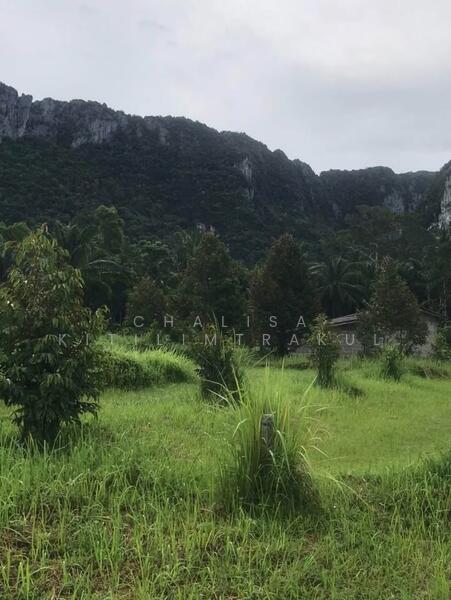 1-Bedroom House, Surat Thani