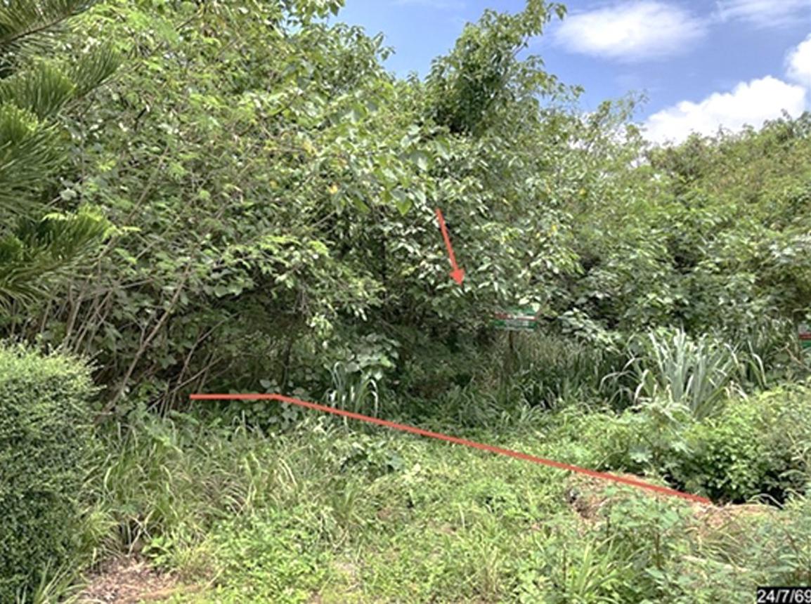 Vacant Land, Phuripiman, Pak Chong, Nakhon Ratchasima