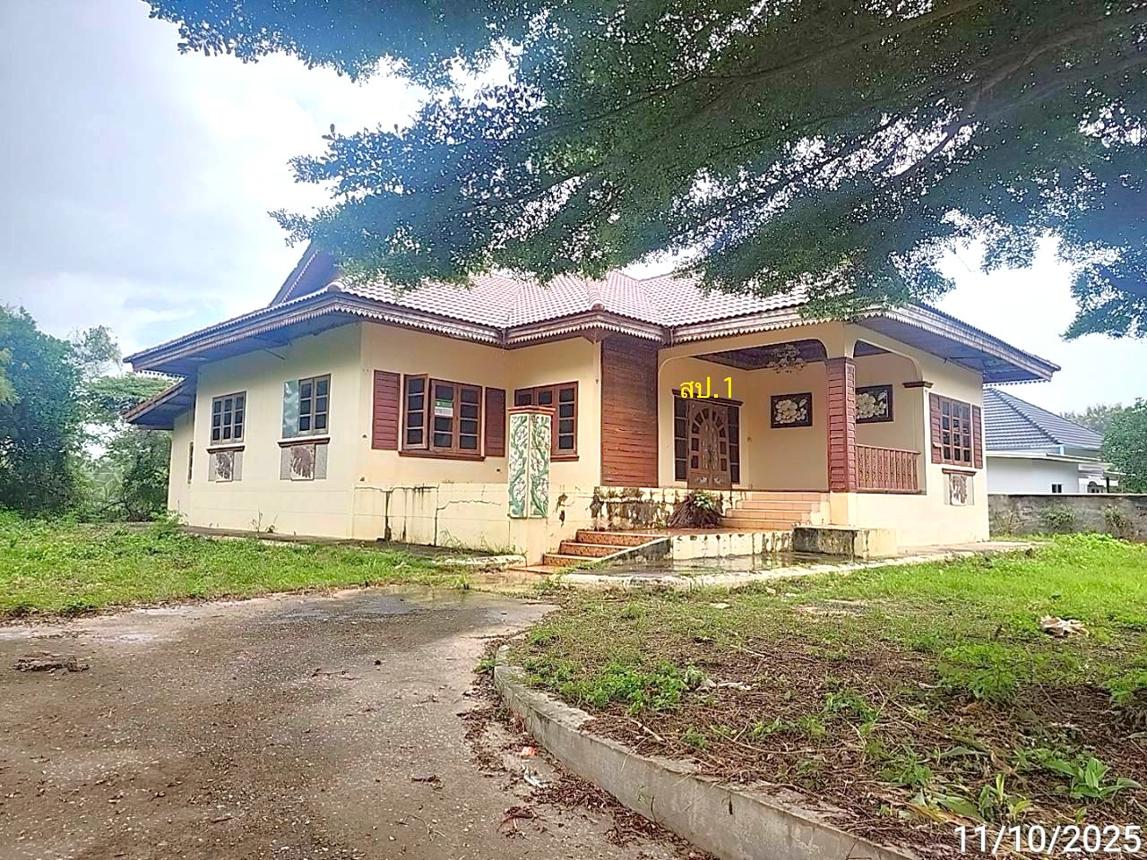 Single House in Phon Thong, Roi Et