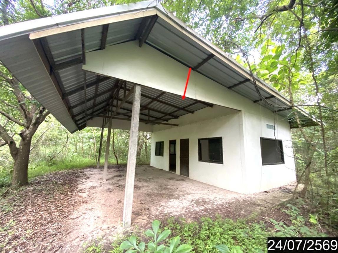 Empty Land for Sale in Nong Khai, Nong Khai