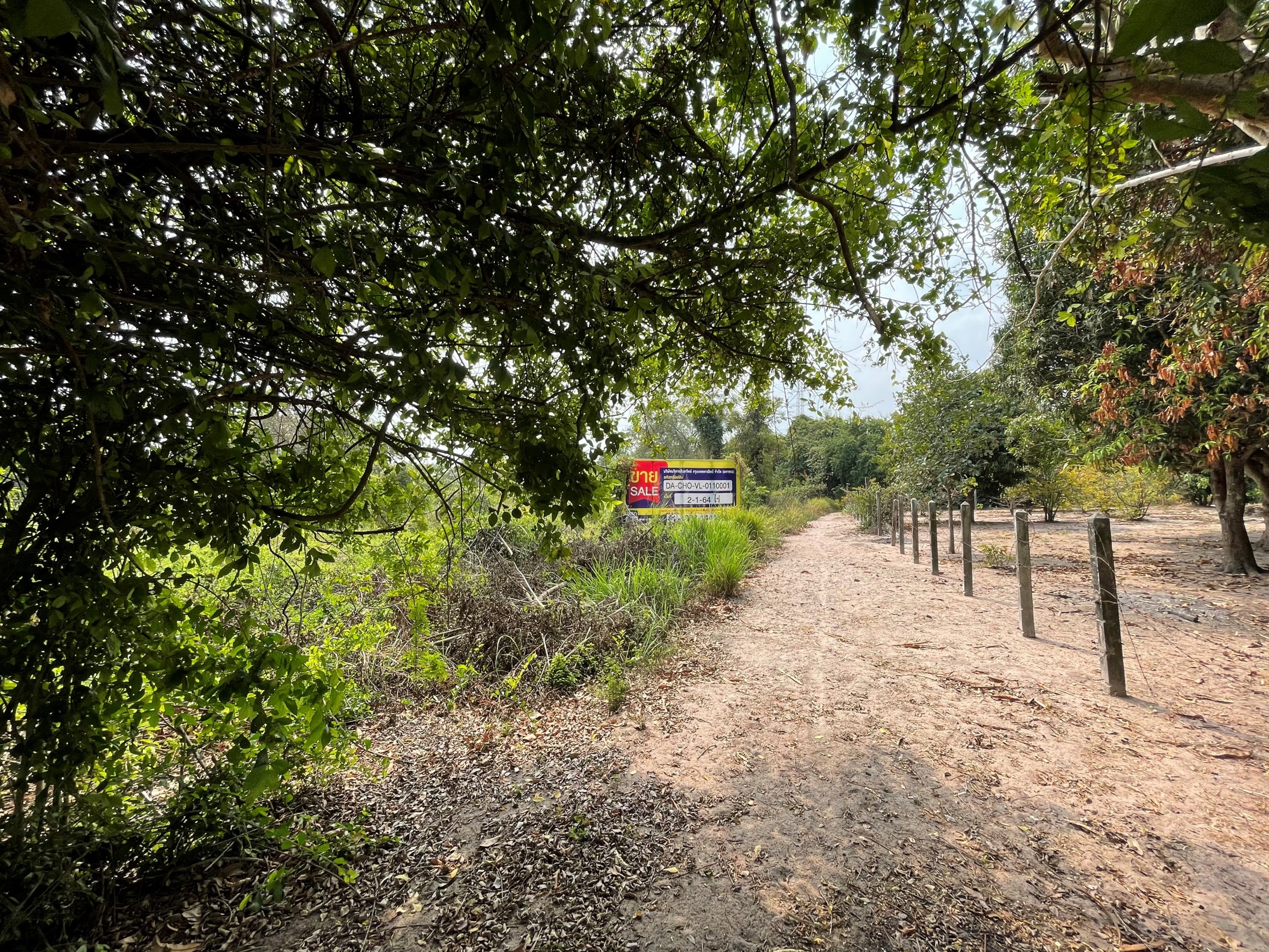 Empty Land in Chonburi