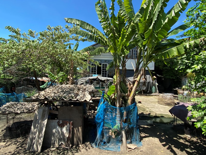 บ้านเดี่ยว 2 ชั้น เมืองนนทบุรี