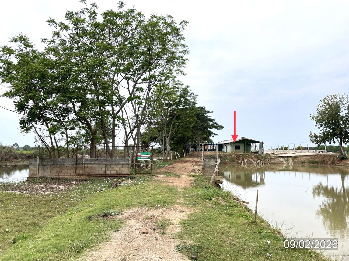 Farm in Phichit, Phichit Province