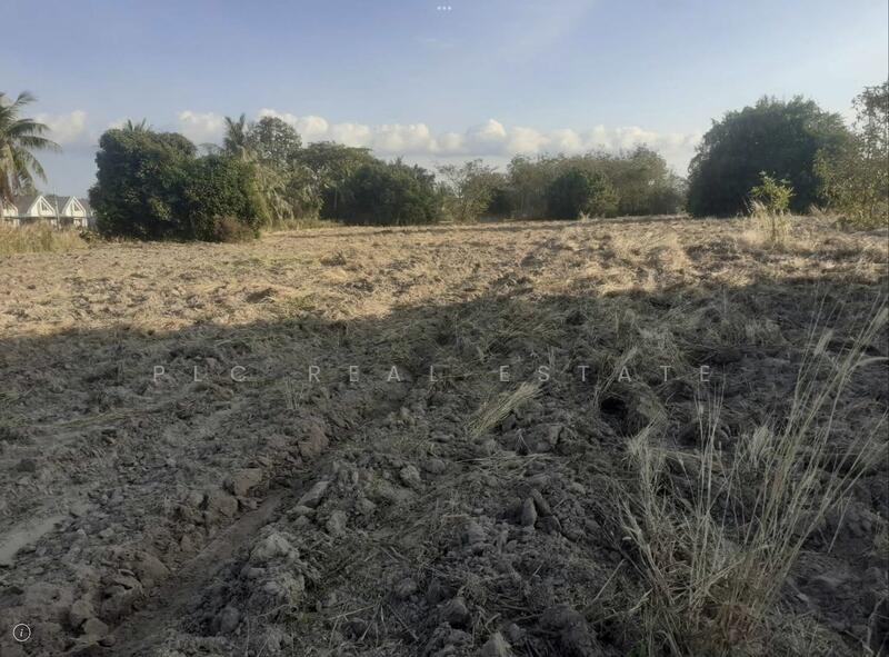 Land for Sale 15 Rai in South Pattaya, Thung Klom–Tan Man, Chon Buri (Pattaya)