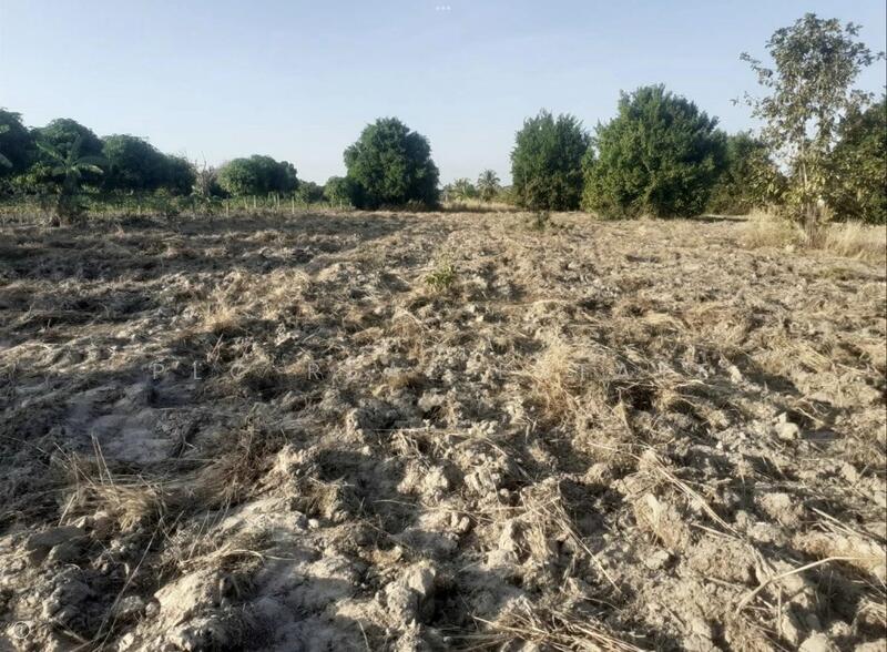 Land for Sale 15 Rai in South Pattaya, Thung Klom–Tan Man, Chon Buri (Pattaya)