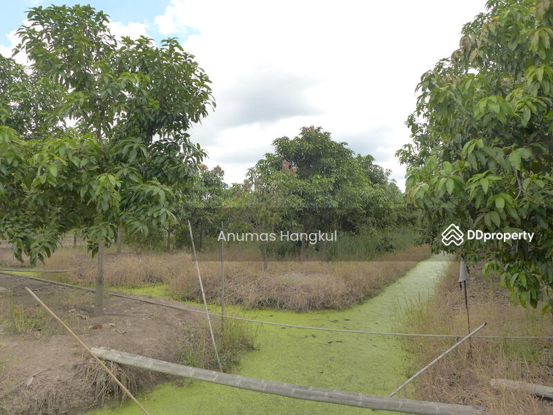 ที่ดิน ริมน้ำท่าจีน สมุทรสาคร, Samut Sakhon