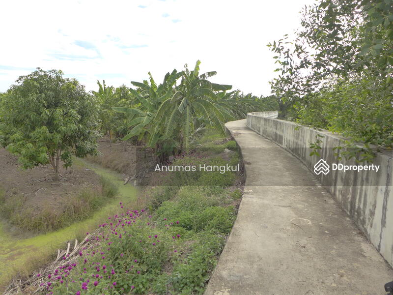 ที่ดิน ริมน้ำท่าจีน สมุทรสาคร, Samut Sakhon