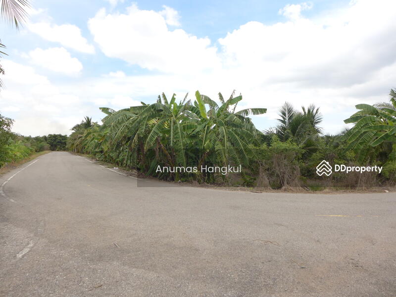 ที่ดิน ริมน้ำท่าจีน สมุทรสาคร, Samut Sakhon