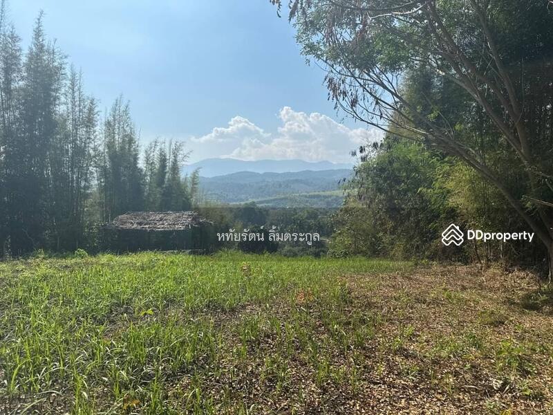 Land for sale on hillside, beautiful mountain view, 1-1-16 rai, Mae Rim District, Chiang Mai., chiang-mai