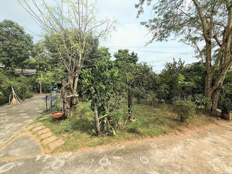 ขายที่ดินแปลงสวย สุขุมวิท แบริ่ง ทำเลศักยภาพ, Samut Prakan