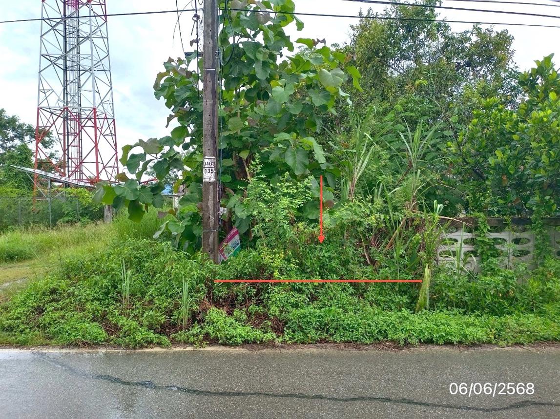 ที่ดินว่างเปล่า พาน เชียงราย จังหวัดเชียงราย