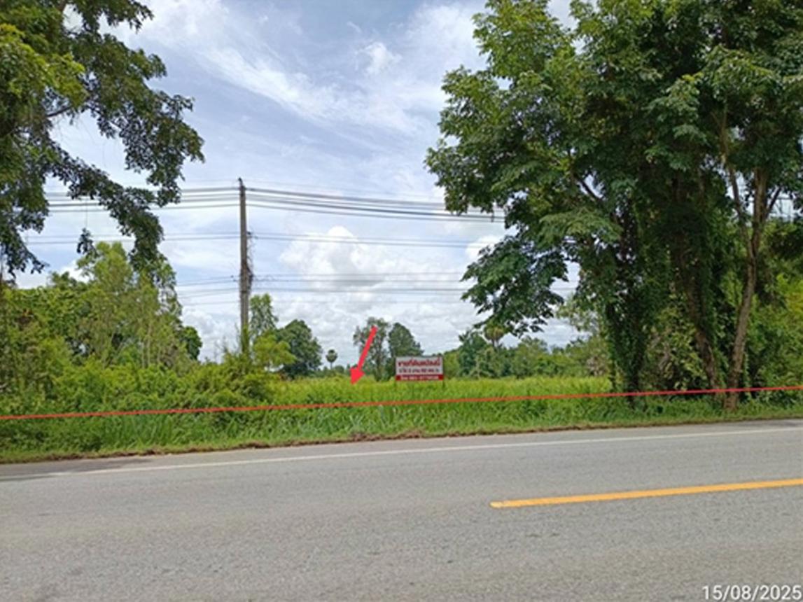 Empty Land for Sale in Chum Phuang, Nakhon Ratchasima