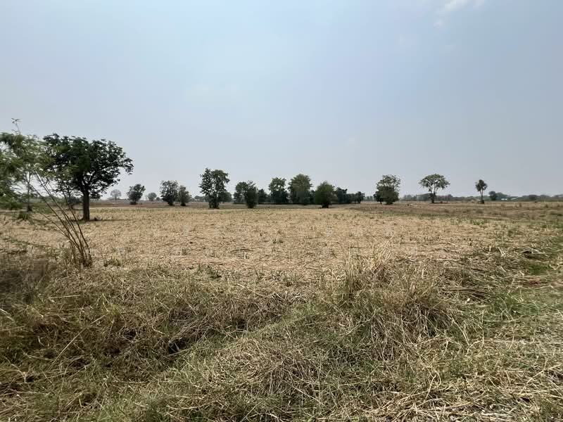 Land 28 Rai for sell 15. 9 million, in Mueang Korat District, Khok Kruat District, Nakhon Ratchasima Province