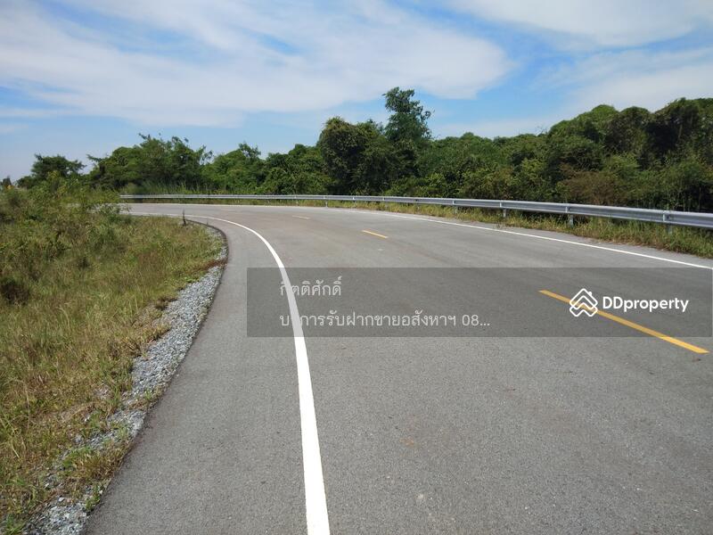 ที่ดิน, Chon Buri (Pattaya)