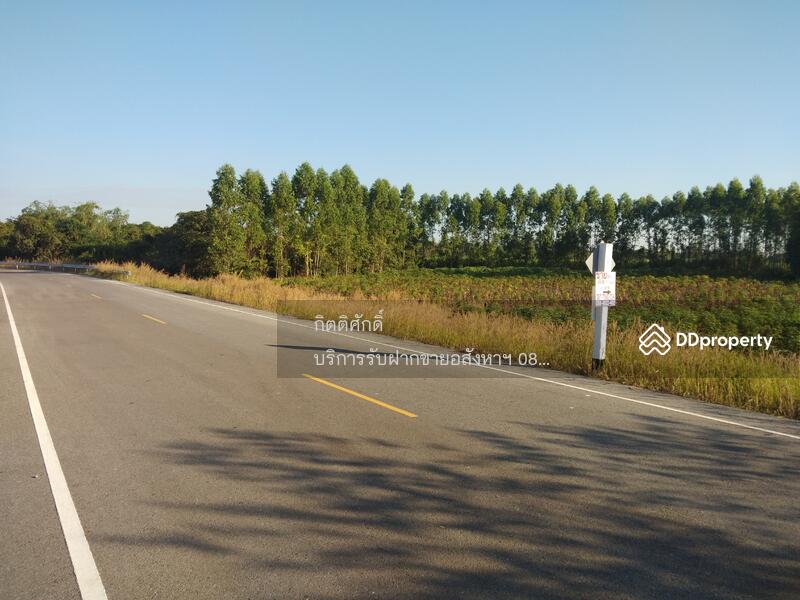 ที่ดิน, Chon Buri (Pattaya)