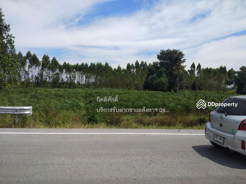 ที่ดิน, Chon Buri (Pattaya)