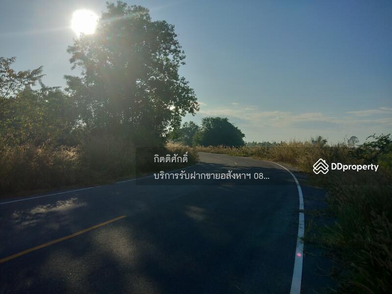 ที่ดิน, Chon Buri (Pattaya)