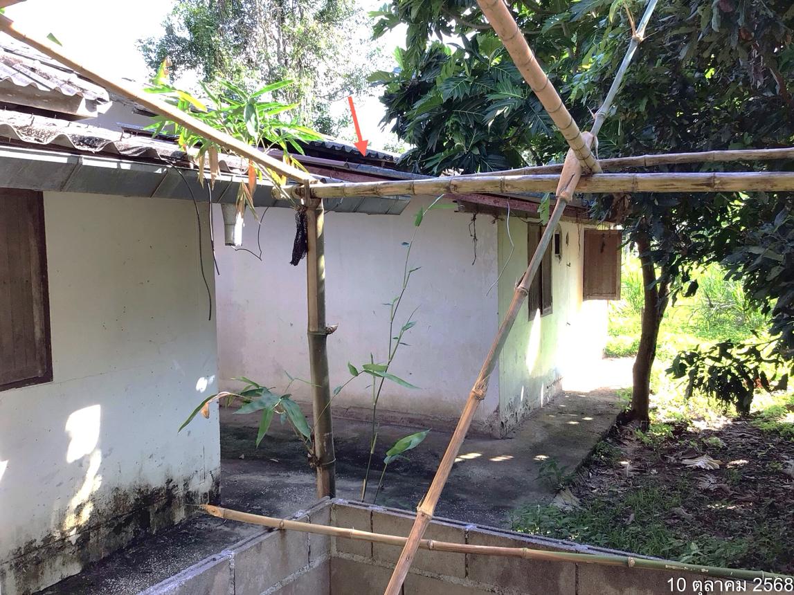 Single-Family House in Mae Chan, Chiang Rai