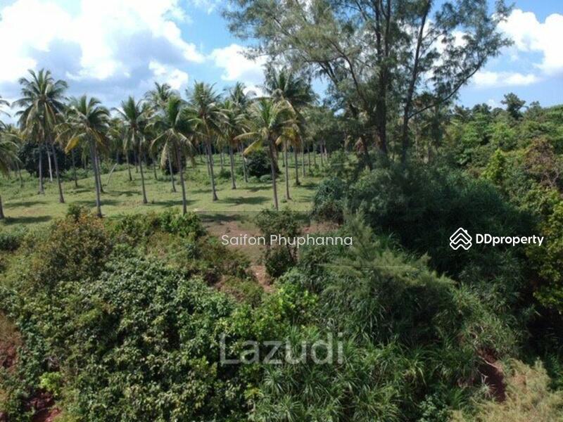Beach Front Land, Prachuap Khiri Khan