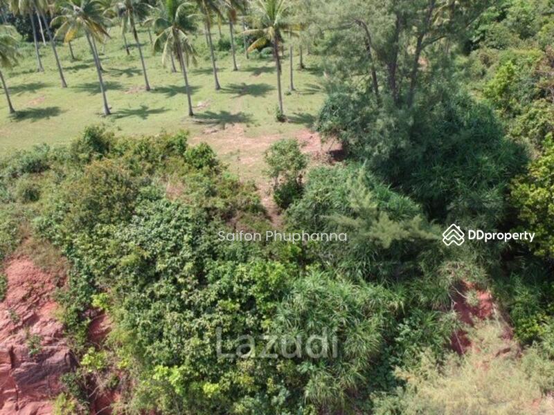 Beach Front Land, Prachuap Khiri Khan