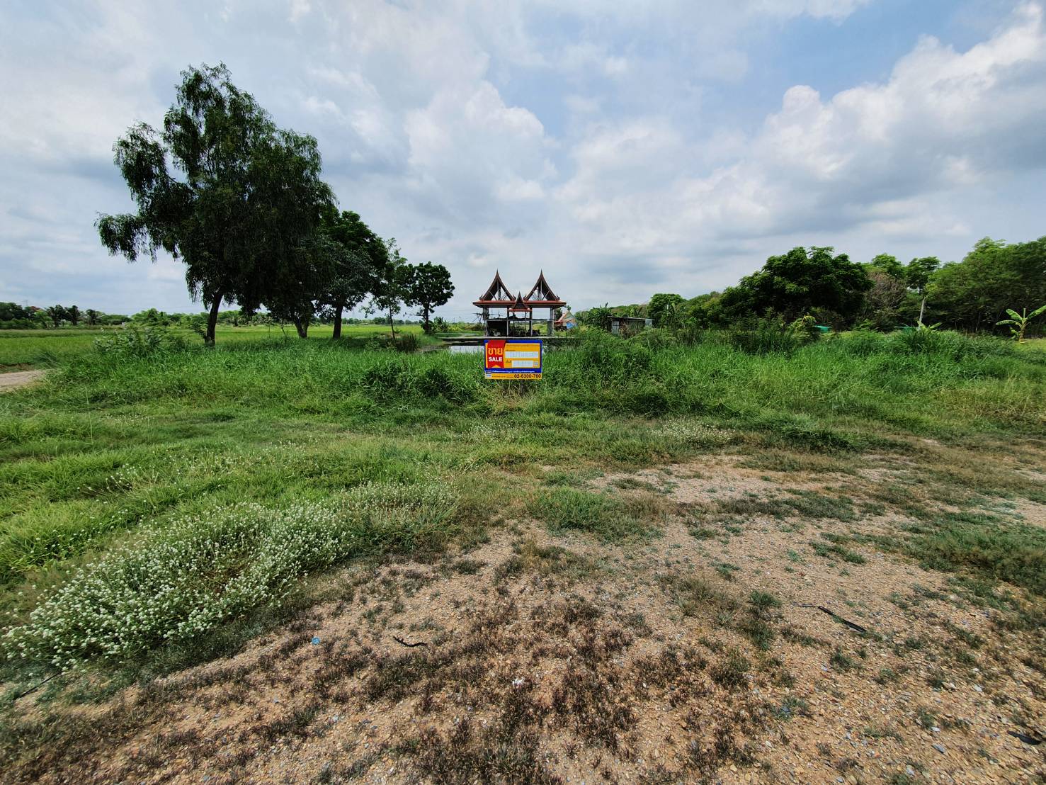 Empty land in Lam Luk Ka.
