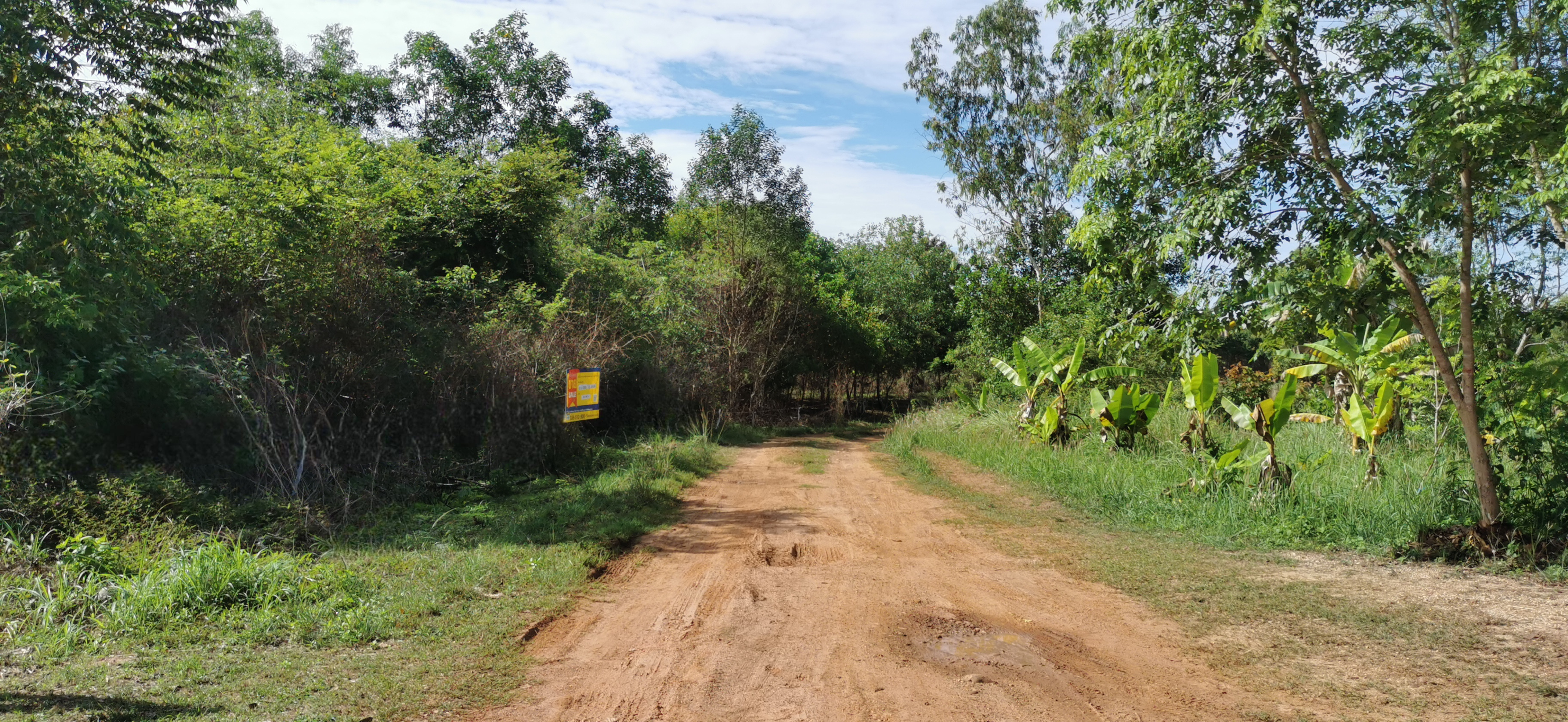 Empty Land in Nong Bon, Sa Kaeo