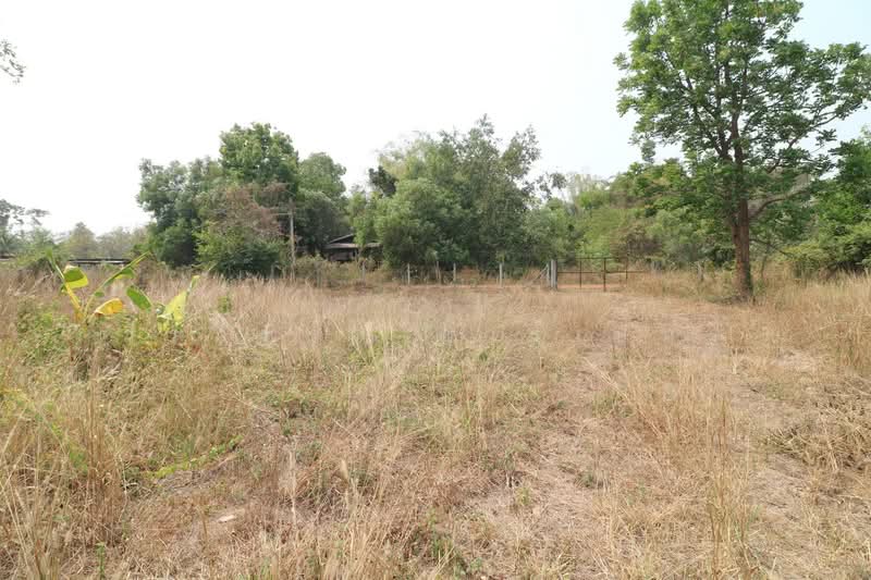 3 Rai Land for Sale in Sam Phrao, Udon Thani, Udon Thani