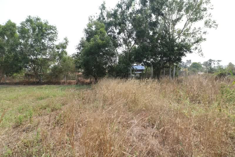 3 Rai Land for Sale in Sam Phrao, Udon Thani, Udon Thani