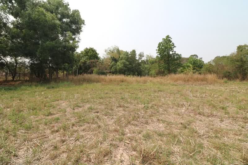 3 Rai Land for Sale in Sam Phrao, Udon Thani, Udon Thani