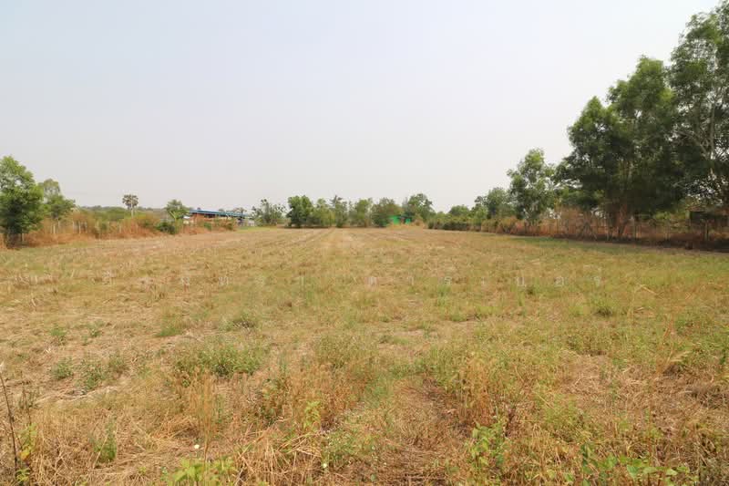 3 Rai Land for Sale in Sam Phrao, Udon Thani, Udon Thani