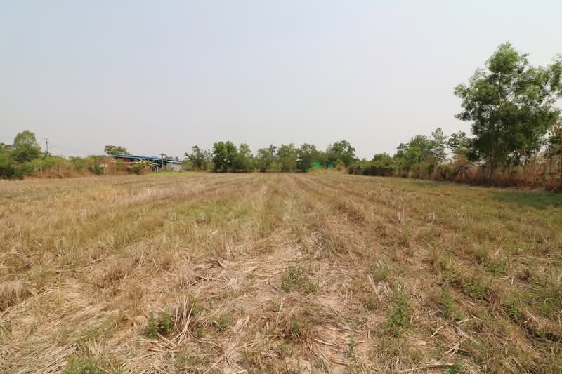 3 Rai Land for Sale in Sam Phrao, Udon Thani, Udon Thani