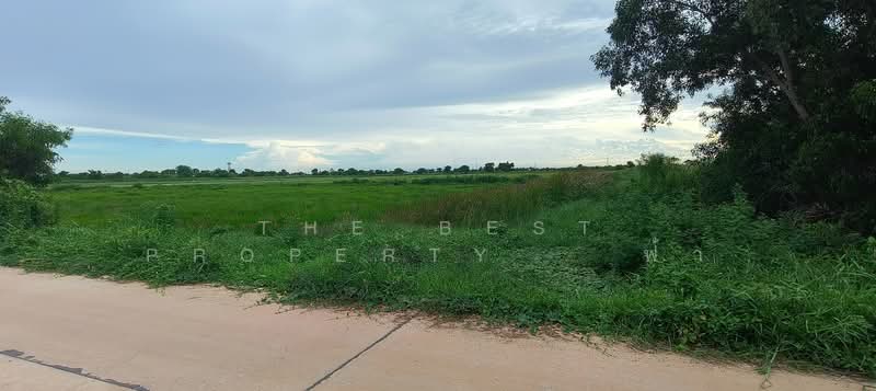 ที่ดินบางคล้า ฉะเชิงเทรา, Chachoengsao