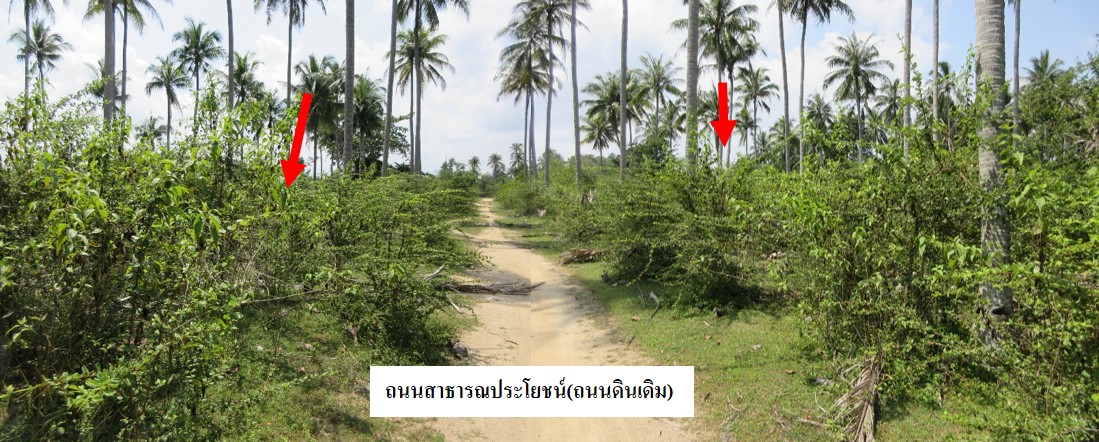 ที่ดินเปล่า นราธิวาส