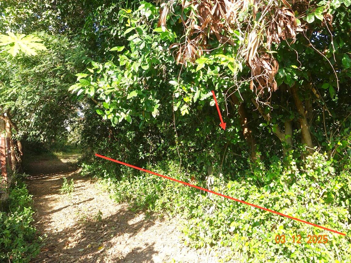ที่ดินว่างเปล่า เมืองบุรีรัมย์ บุรีรัมย์