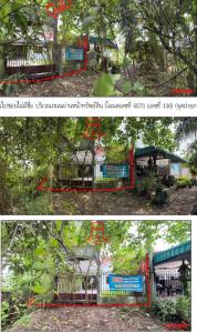 บ้านเดี่ยว ทับปุด จังหวัดพังงา