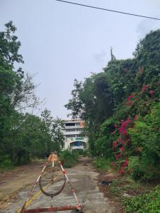 โรงพยาบาล ตะพานหิน จังหวัดพิจิตร