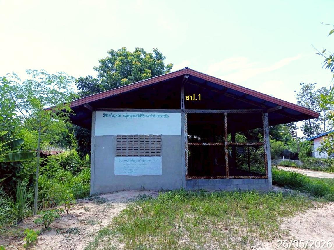 Single House in Pho Chai, Roi Et