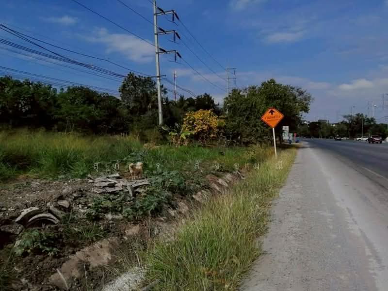 68 Rai Prime Land for Sale on Thanarat Road, Pak Chong, Nakhon Ratchasima