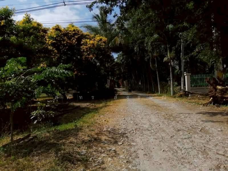 68 Rai Prime Land for Sale on Thanarat Road, Pak Chong, Nakhon Ratchasima