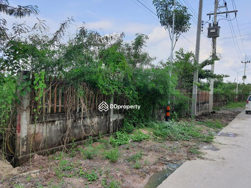 ขาย2.5ไร่ที่ดินคลอง6, Pathum Thani