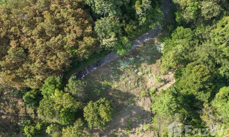 Rare 1,472 SqM Land Plot in Pa Khlok Phuket Near Gibbon Retreat Views, Phuket
