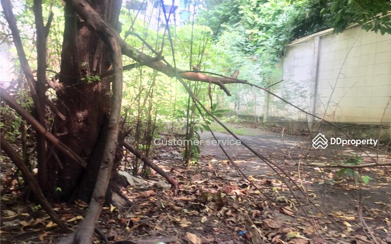 ขายที่ดินเปล่าแปลงศักยภาพ ใจกลาง สุขุมวิท 34, Bangkok