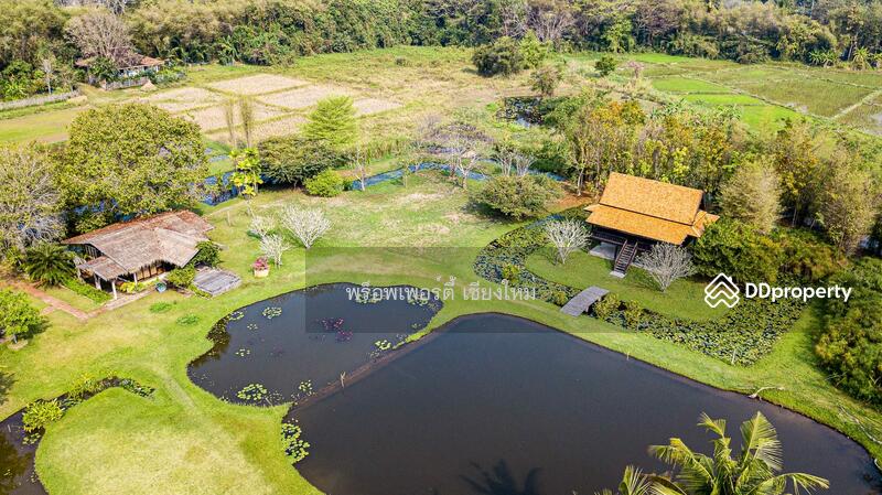 Amazing 24plus Rai Northern Thai Luxury Sanctuary Property For Sale in Doi Saket, Chiang Mai