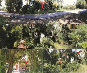 ที่ดินพร้อมสิ่งปลูกสร้าง เมืองลำพูน จังหวัดลำพูน