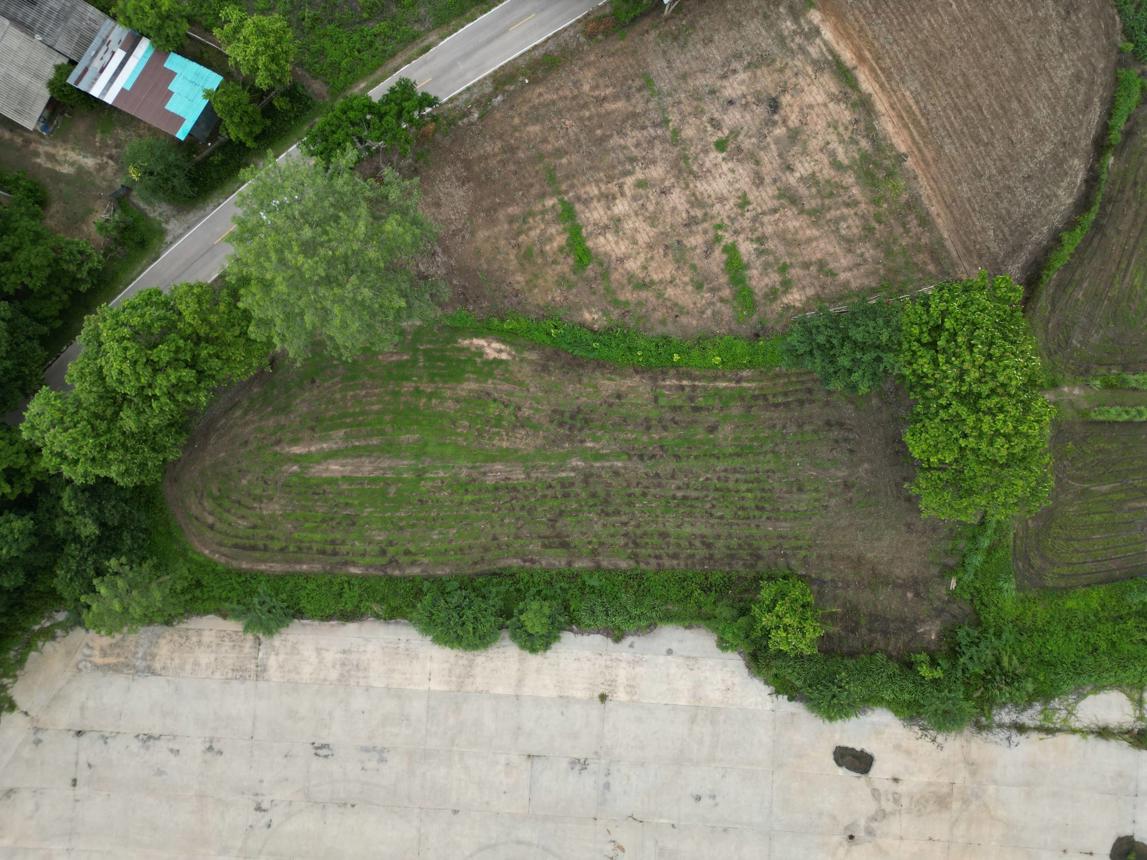 Vacant Land, Wang Nuea, Lamphun