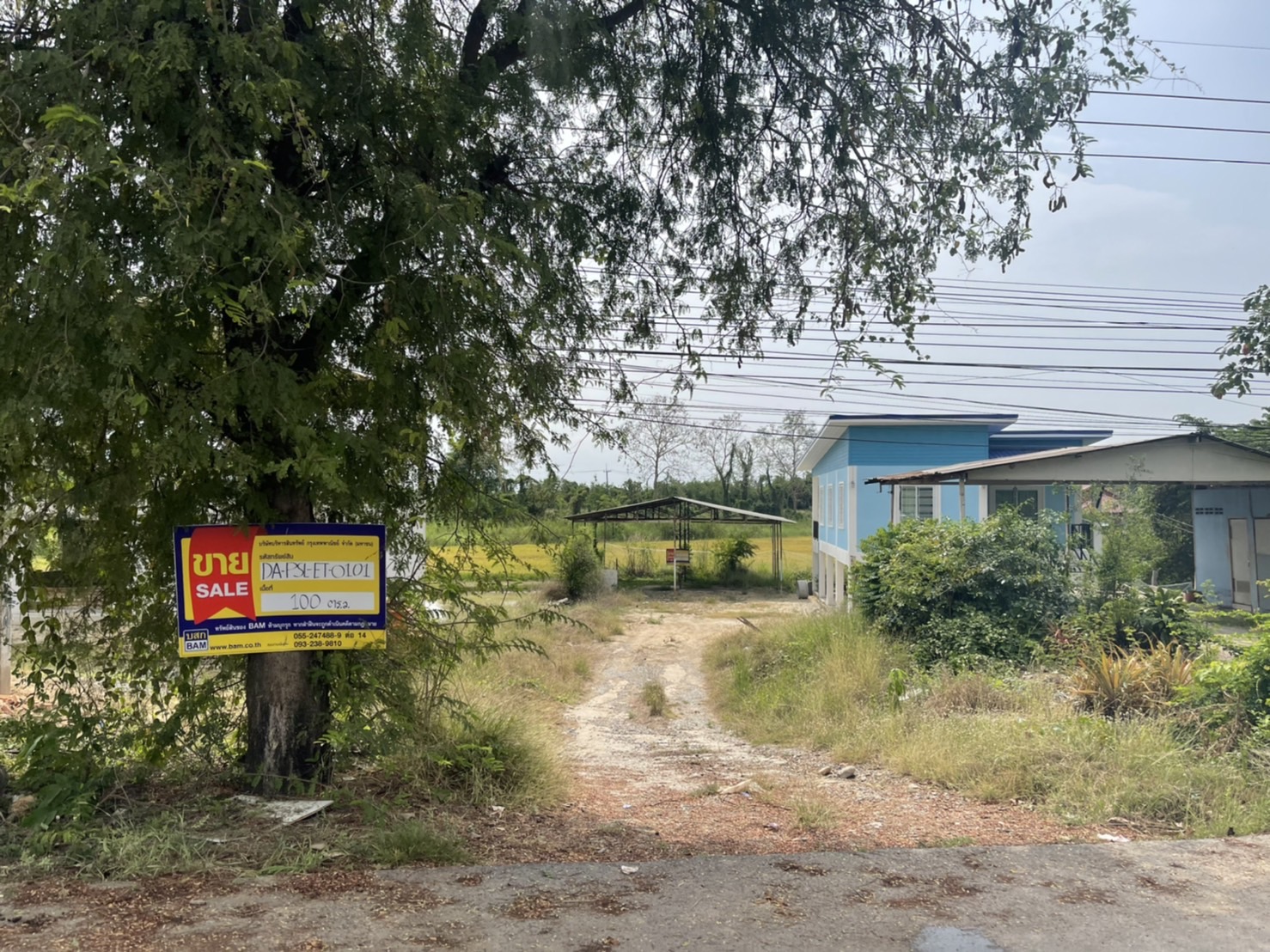 ที่ดินพร้อมบ้าน บางระกำ พิษณุโลก