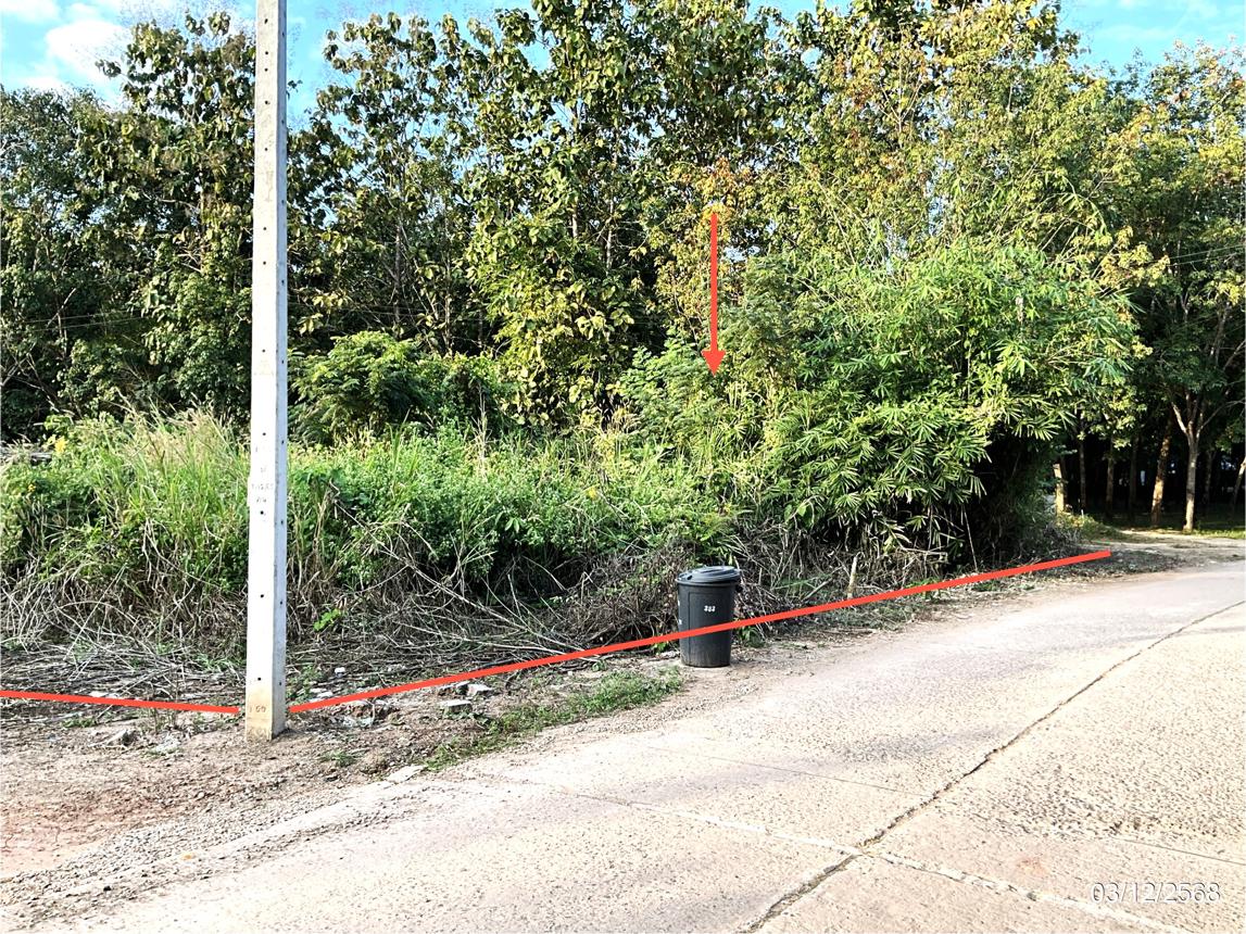 Vacant Land for Sale in Loei Province, Loei